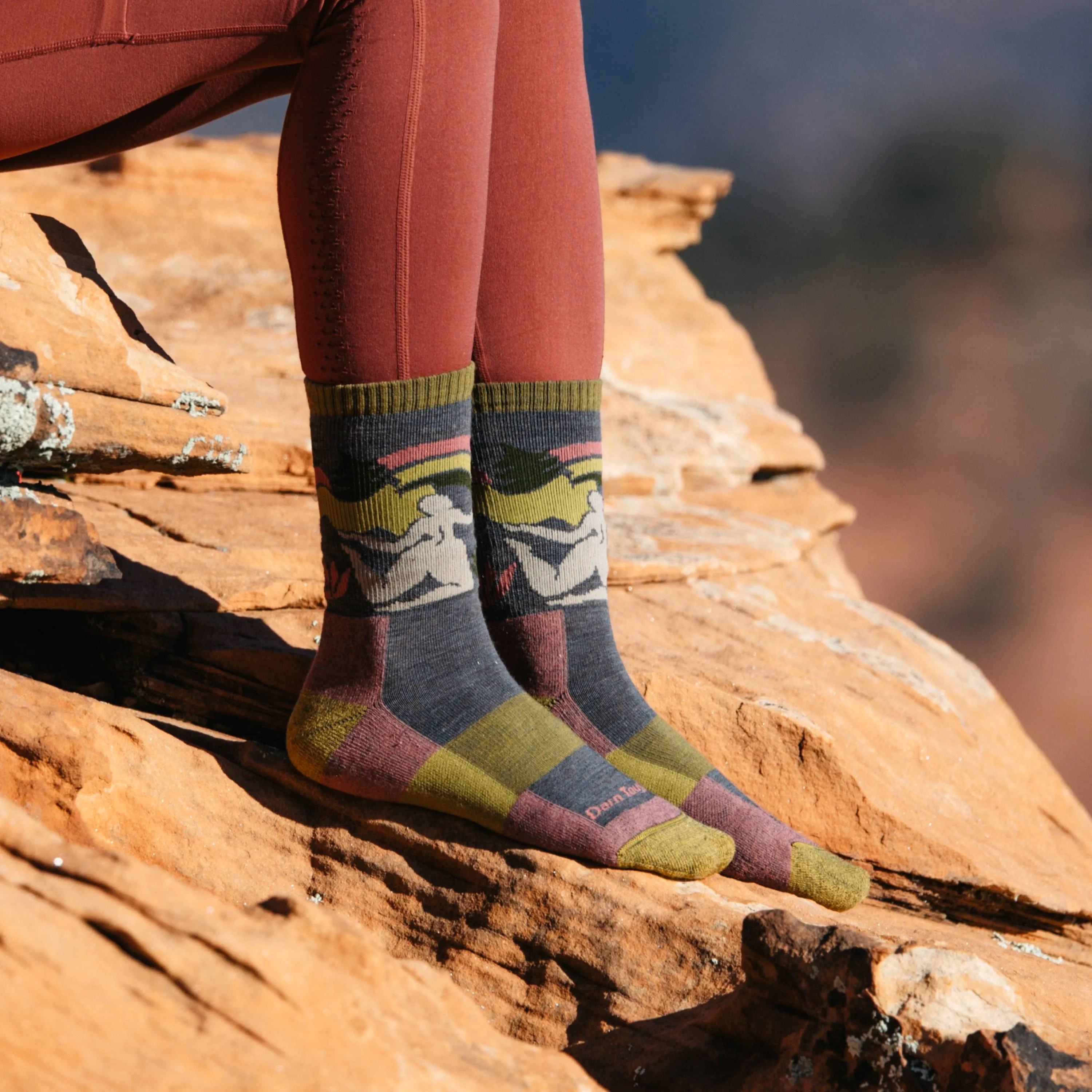 Darn Tough Womens Trailblazer Micro Crew Lightweight Hiking Socks