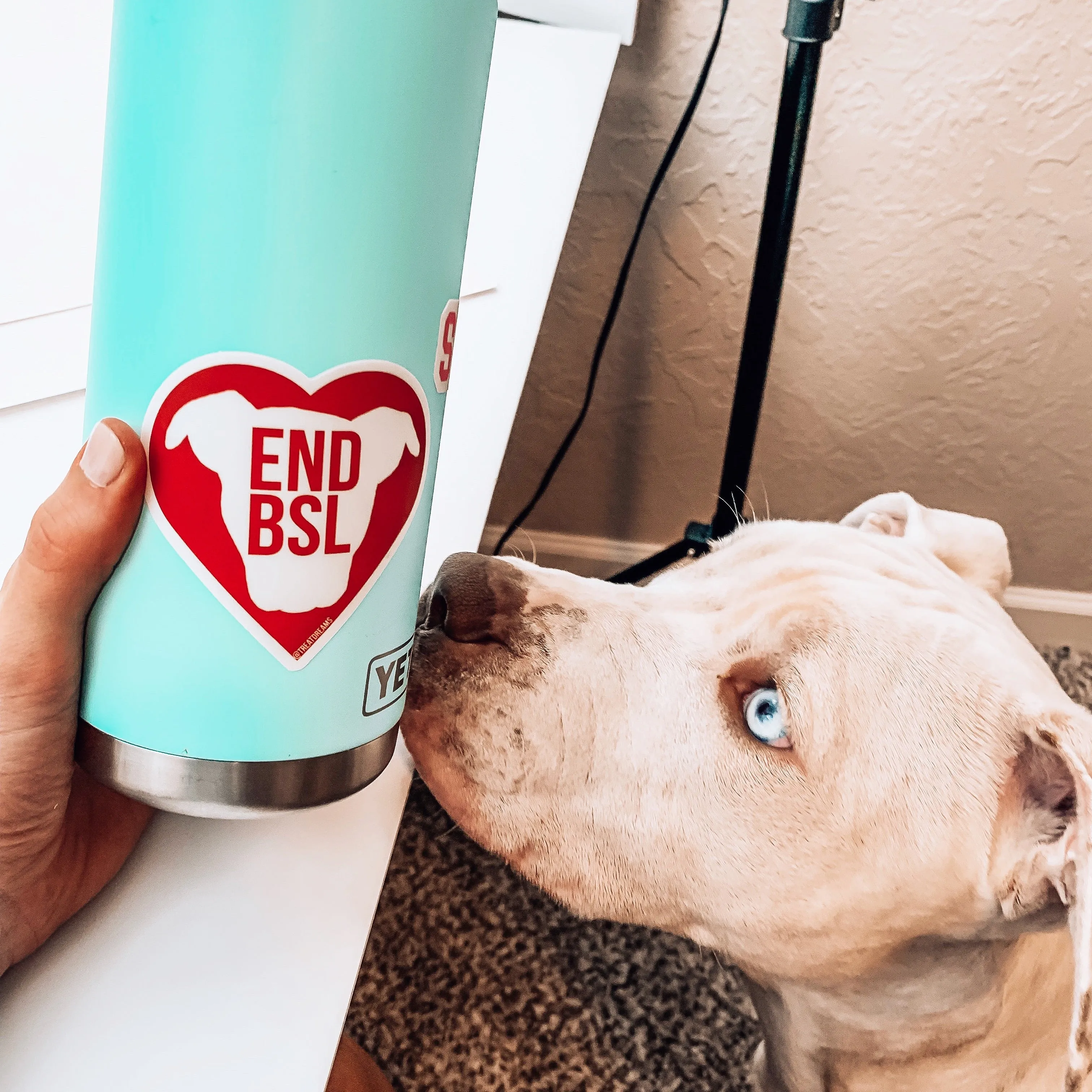 End BSL- Decal