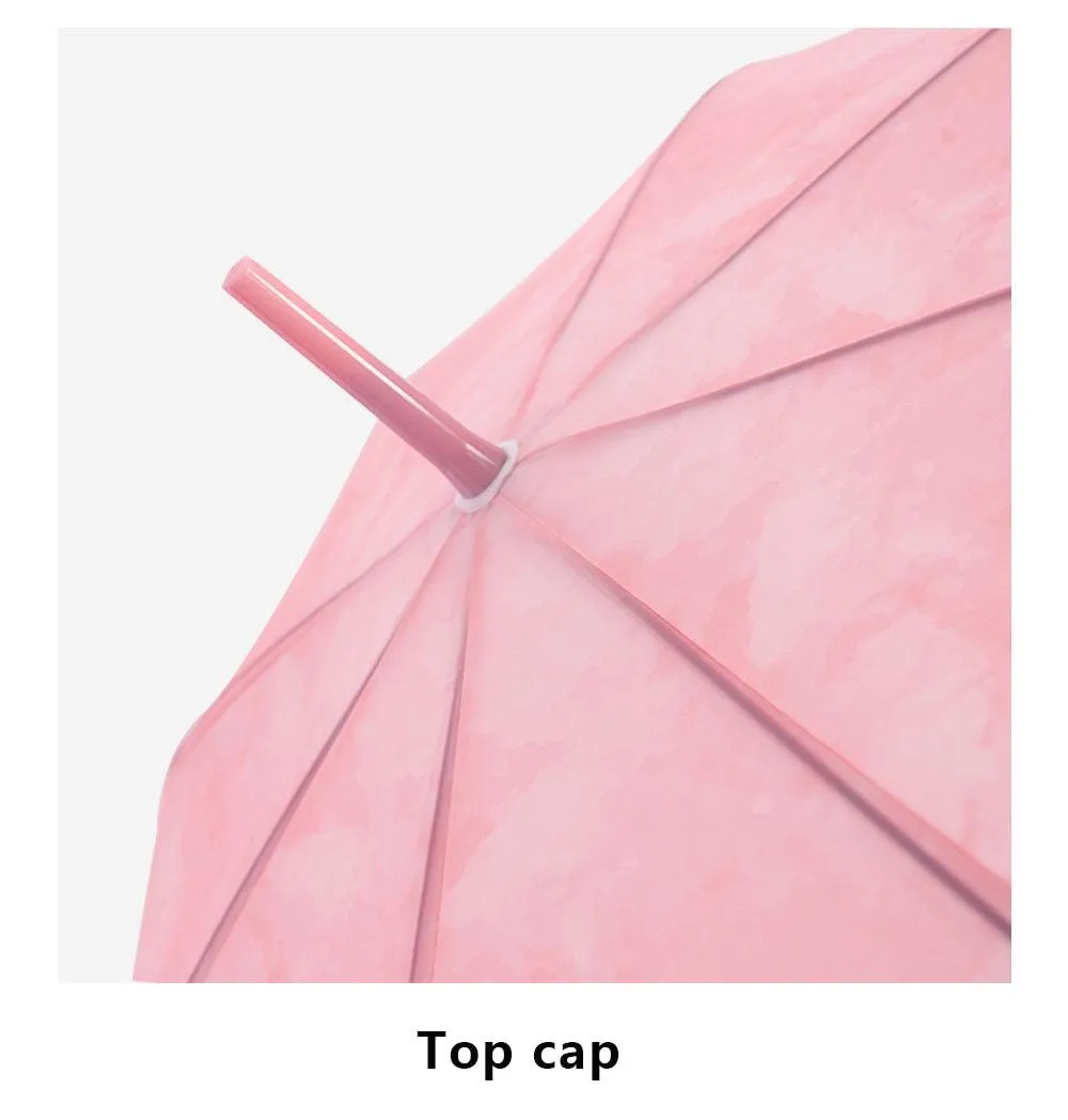 Gradient Transparent Umbrella