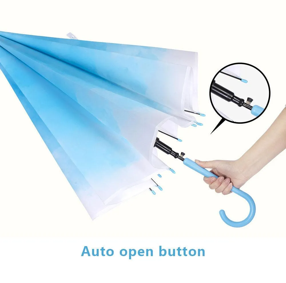 Gradient Transparent Umbrella