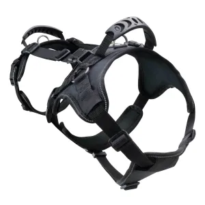 Heavy Duty Double Back Dog Harness I Canine Harness Equipment For Lifting & Transporting I Black, Large