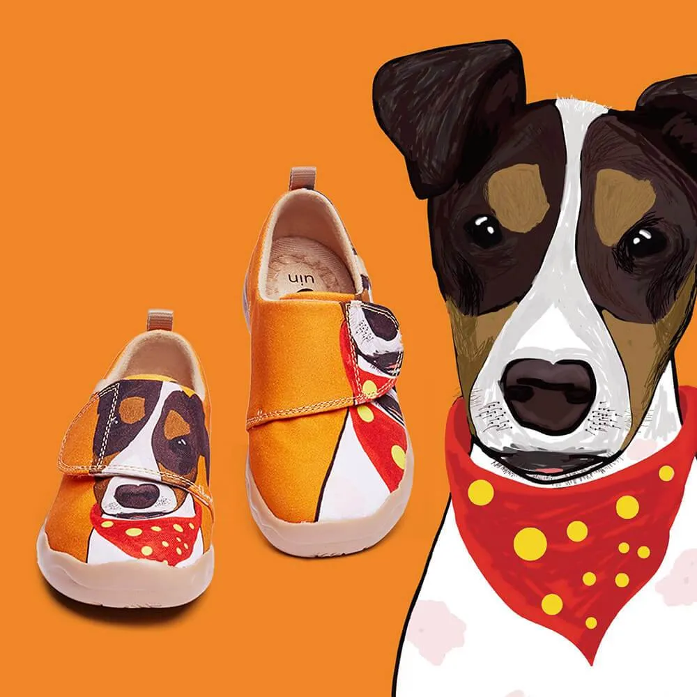 Jack Russell Terrier Kid