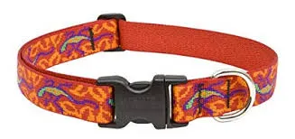 Lupine Dog Collars