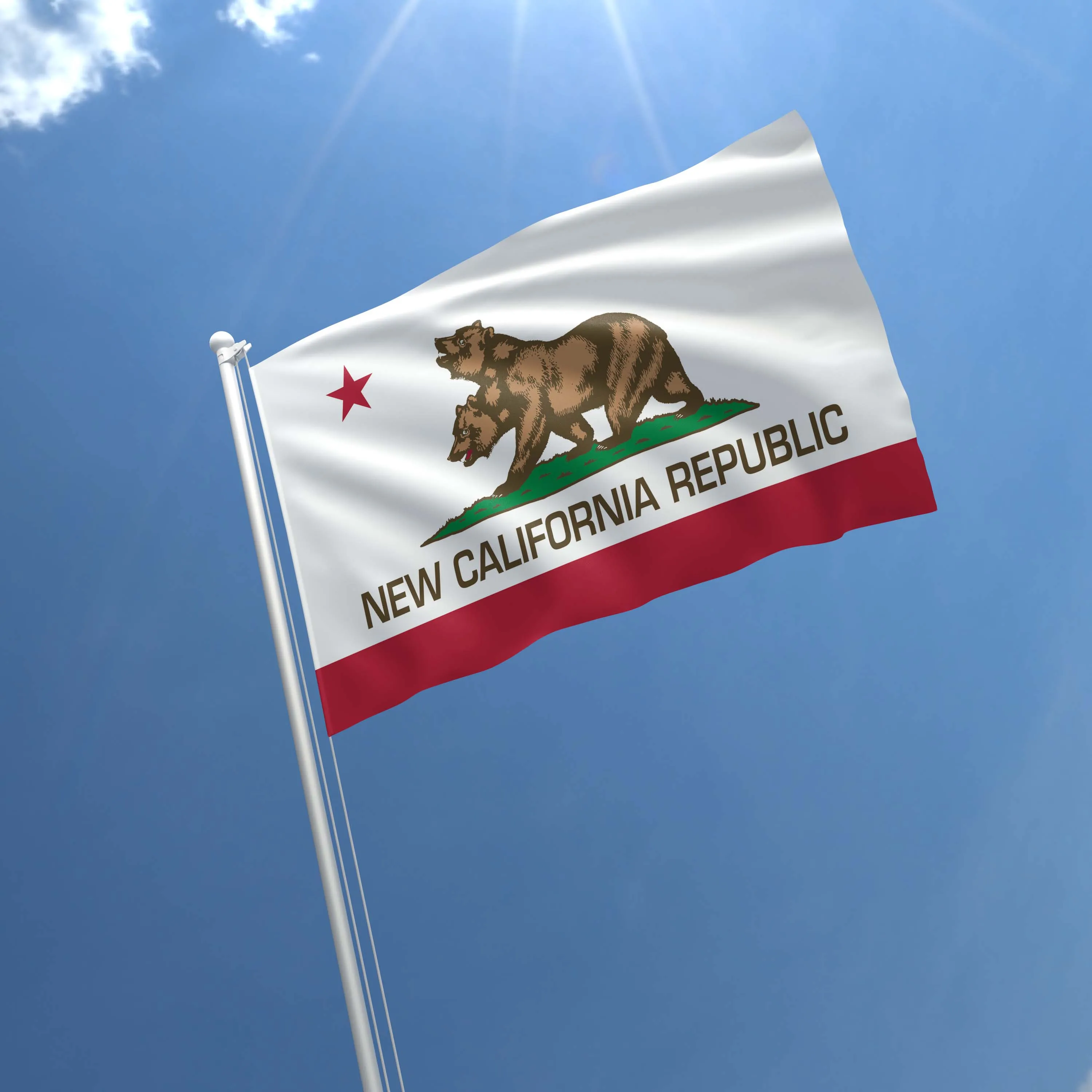 New California Republic California State USA United States of America Flag Banner