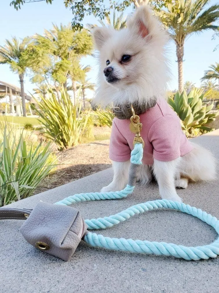 PoisePup - LEASH - DESERT MINT