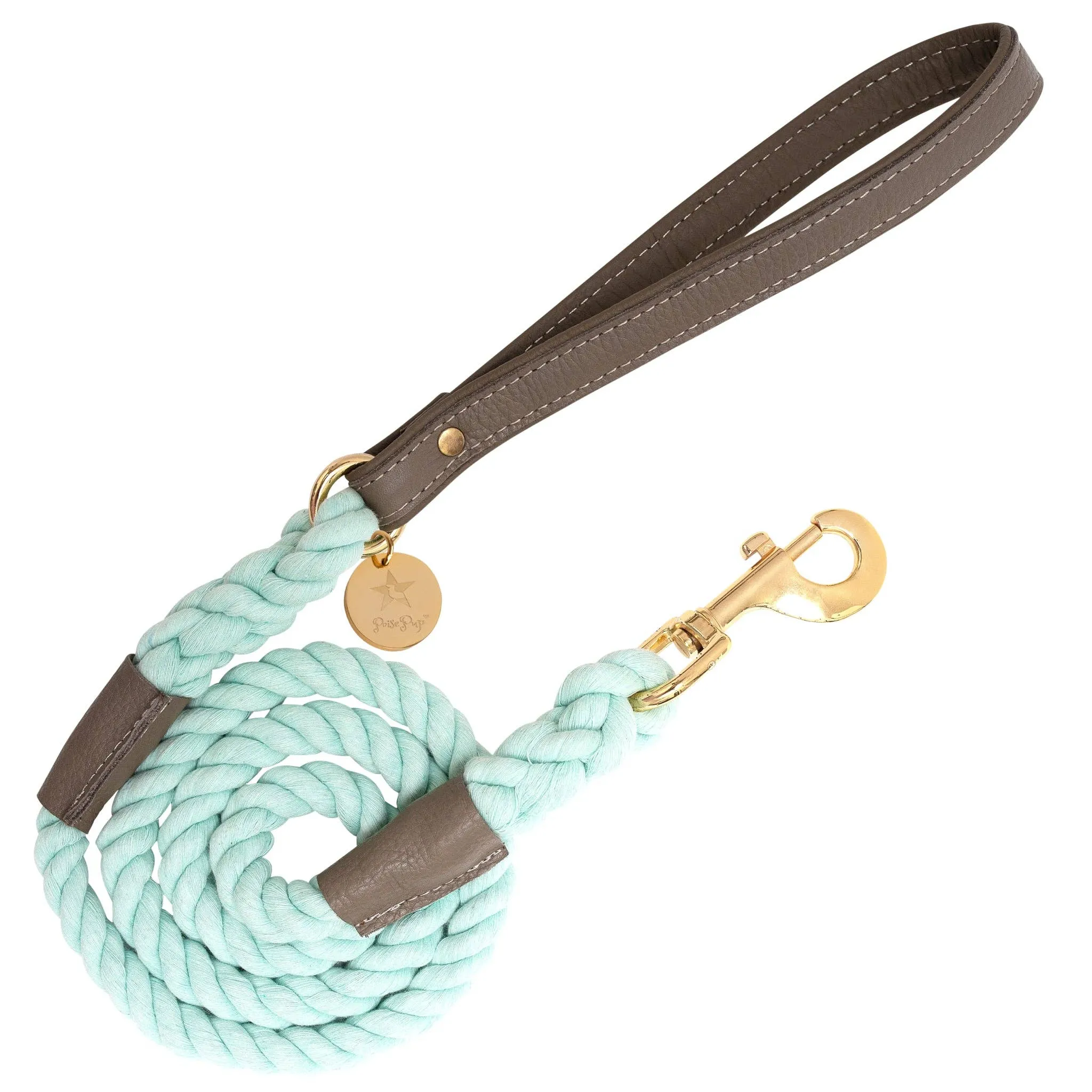 PoisePup - LEASH - DESERT MINT