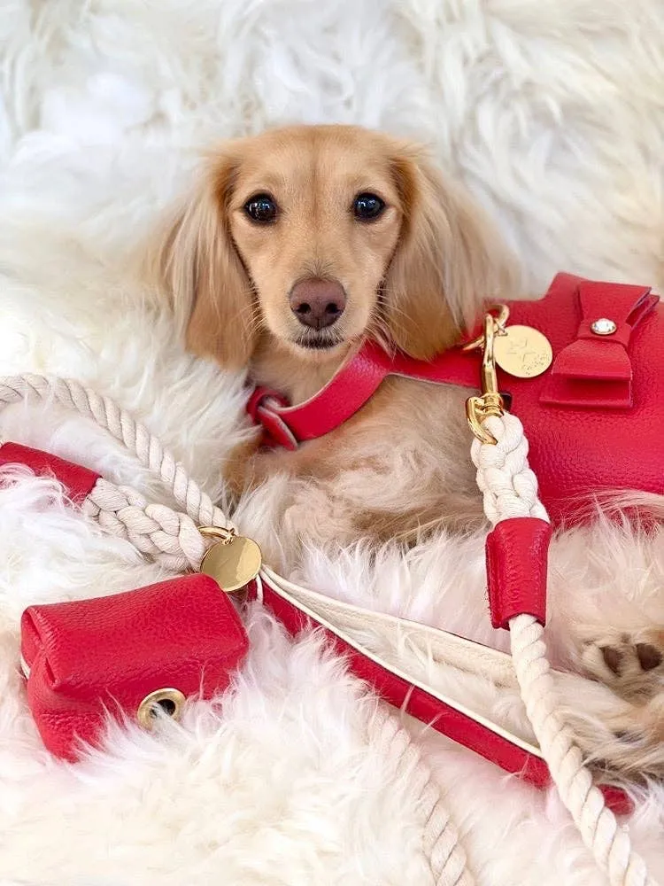 PoisePup - LEASH - MELTING HEARTS