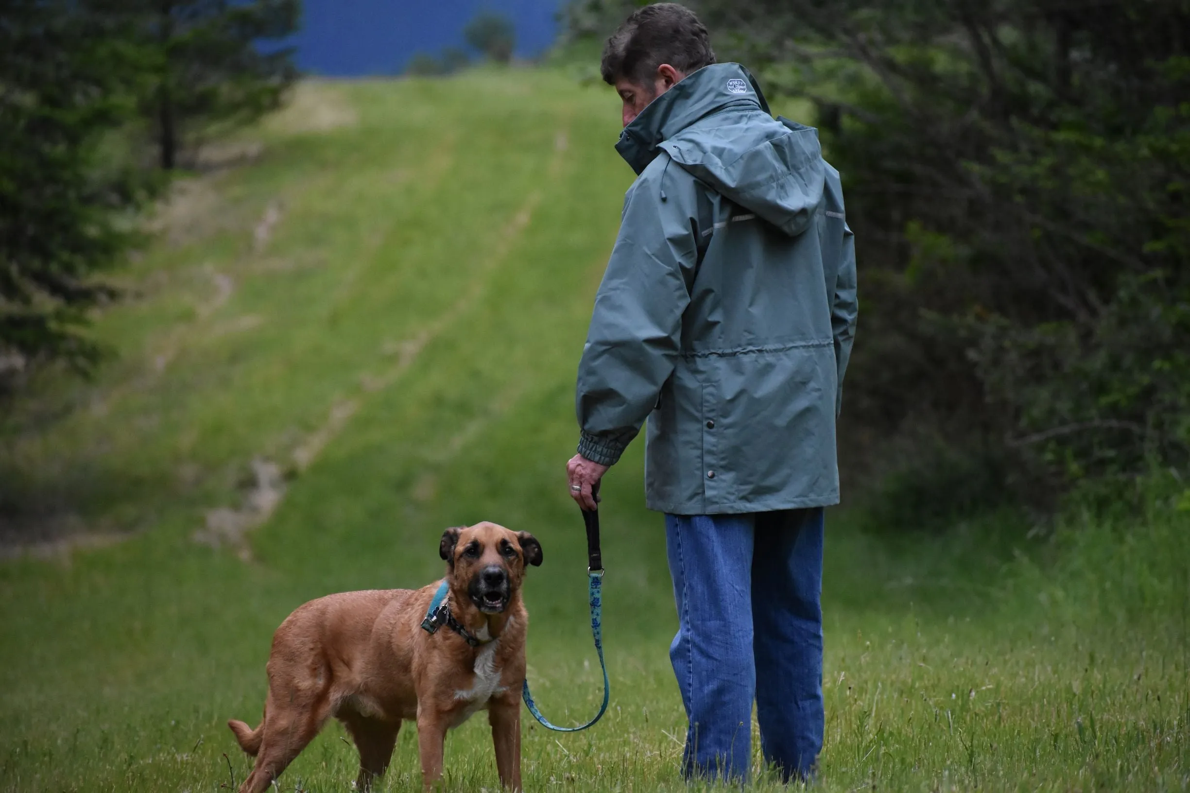 The Short Coat