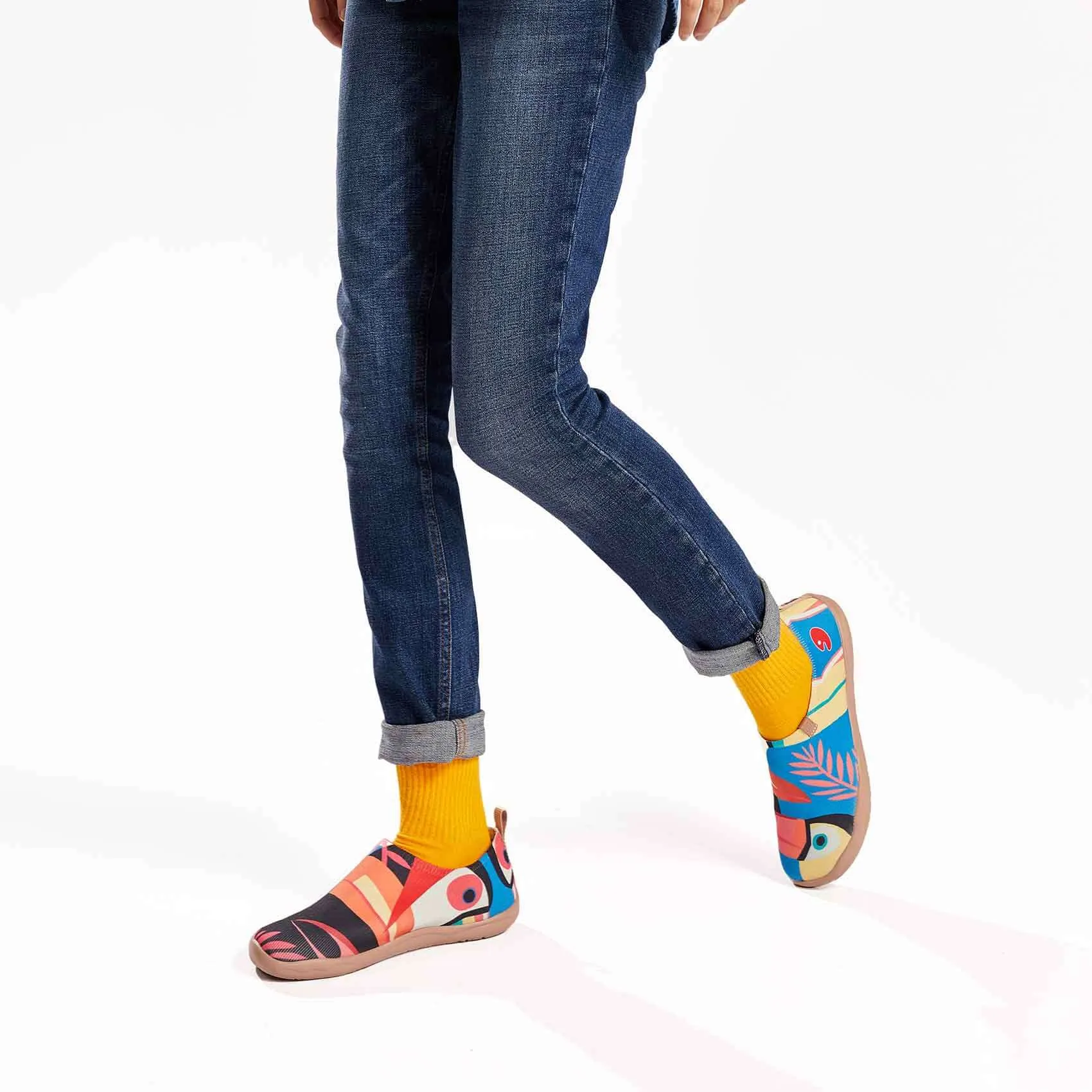 Toucan