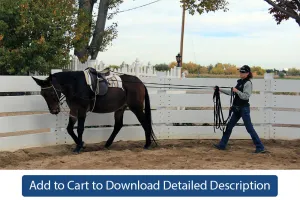 Training Tip - #059 Ground Driving Maneuvers