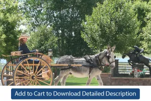 Training Tip - #112 Verbal Commands for Driving
