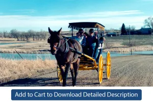 Training Tip - #119 Pleasure Driving