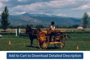 Training Tip - #120 Combined Driving