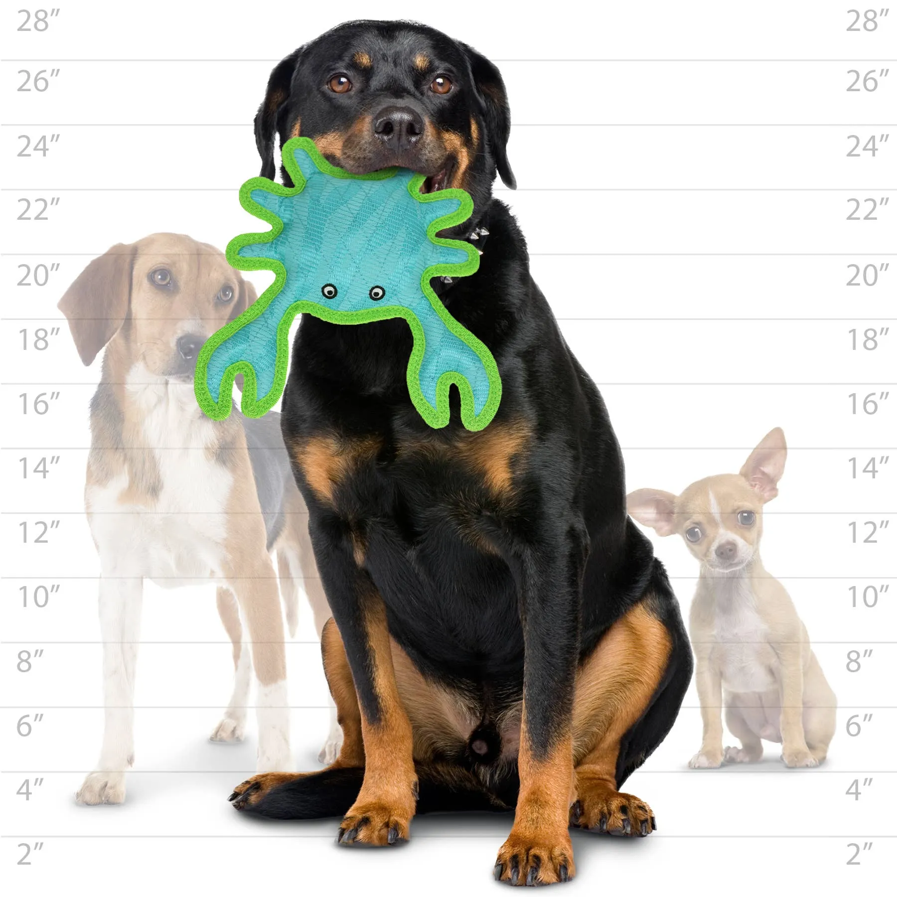 Tuffy Dog Toys - VIP Products - DuraForce Crab Tiger - Blue/Green, Durable, Squeaky Dog Toy