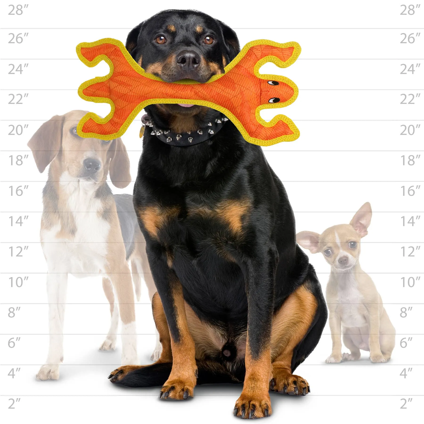 Tuffy Dog Toys - VIP Products - DuraForce Lizard - Orange, Durable, Squeaky Dog Toy